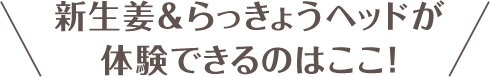 新生姜＆らっきょうヘッドが体験できるのはここ！