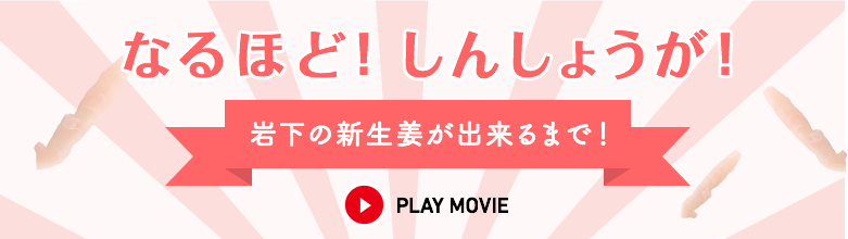 なるほど！しんしょうが！岩下の新生姜が出来るまで！