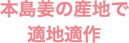 本島姜の産地で適地適作