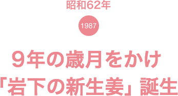 昭和62年(1987) 9年の歳月をかけ「岩下の新生姜」誕生