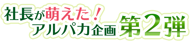 社長が萌えた！アルパカ企画第２弾