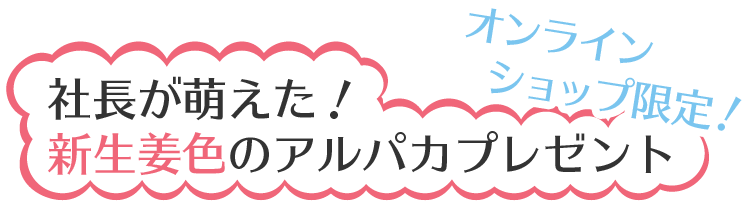 社長が萌えた！新生姜色のアルパカプレゼント