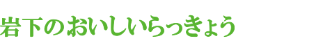 岩下のおいしいらっきょう