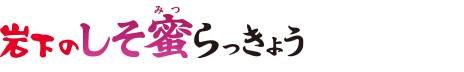 岩下のしそ蜜らっきょう