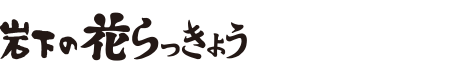 岩下の花らっきょう 食べきりパック